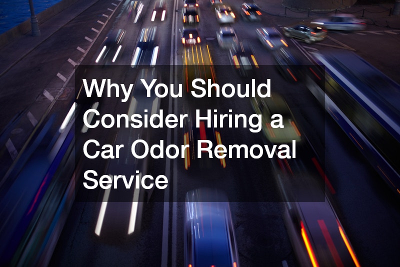 Why You Should Consider Hiring a Car Odor Removal Service